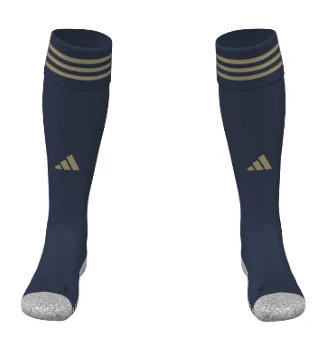 BSFA Training Sock