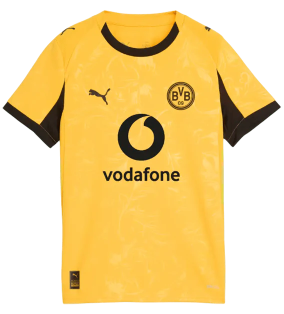 Borussia Dortmund 25/26 Cup Jersey (78011203)