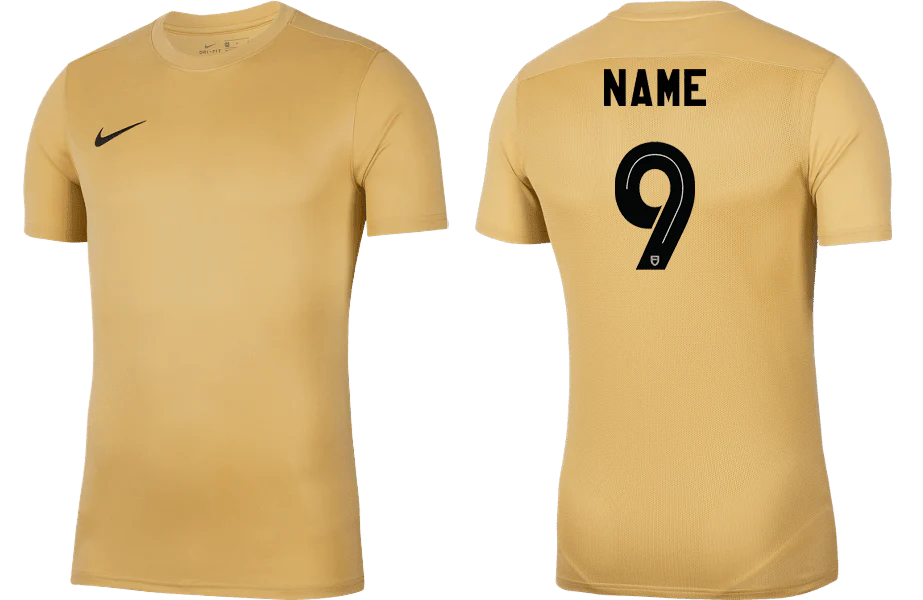 NORMANHURST 6 A SIDE  Youth Park 7 Jersey (BV6741-729)
