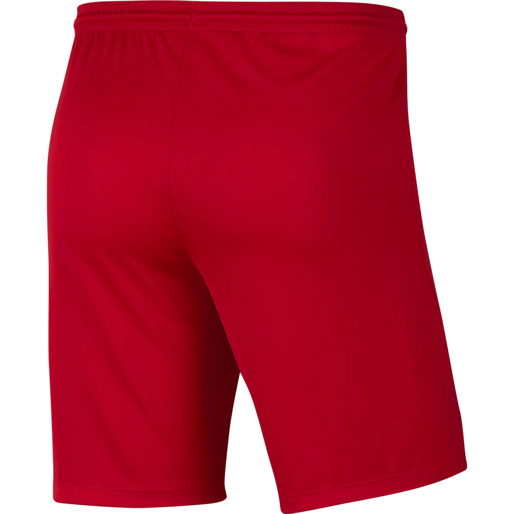 FV SAP PROGRAM MENS Nike Dri-FIT Park 3 Shorts - Image 3
