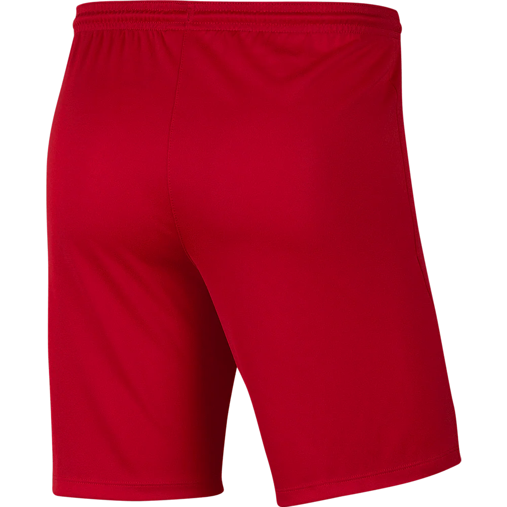 FITZROY FC  Youth Nike Dri-FIT Park 3 Shorts - GK Kit - Image 2
