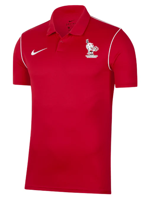 THORNTON JUNIOR FC Men's Nike-Dri-FIT Park 20 Polo