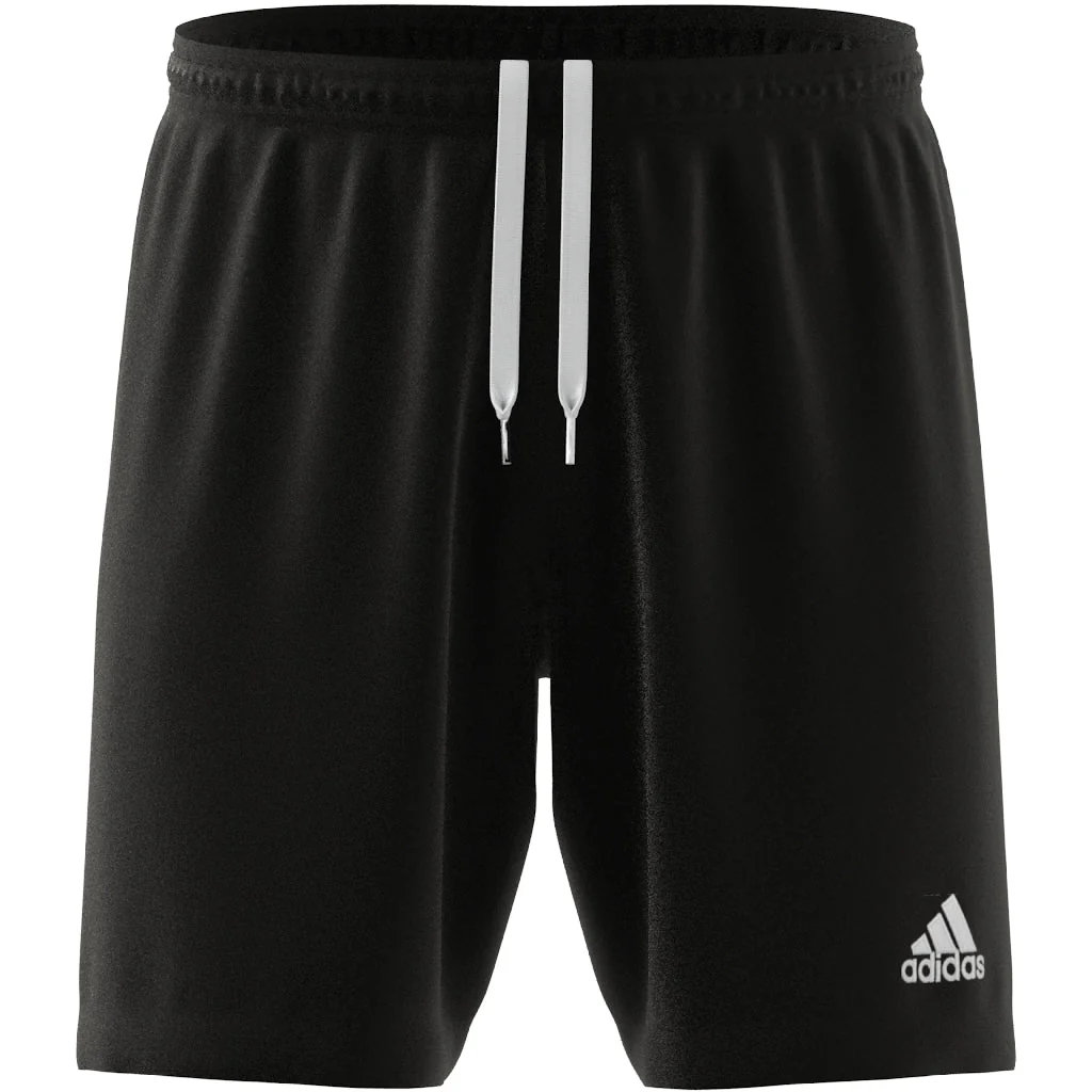 DF FOOTBALL  Men's Entrada 22 Shorts (H57504)