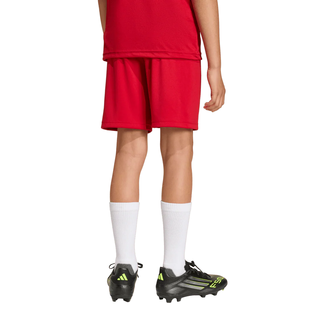 Entrada 26 Youth Shorts (JZ6528) - Image 2