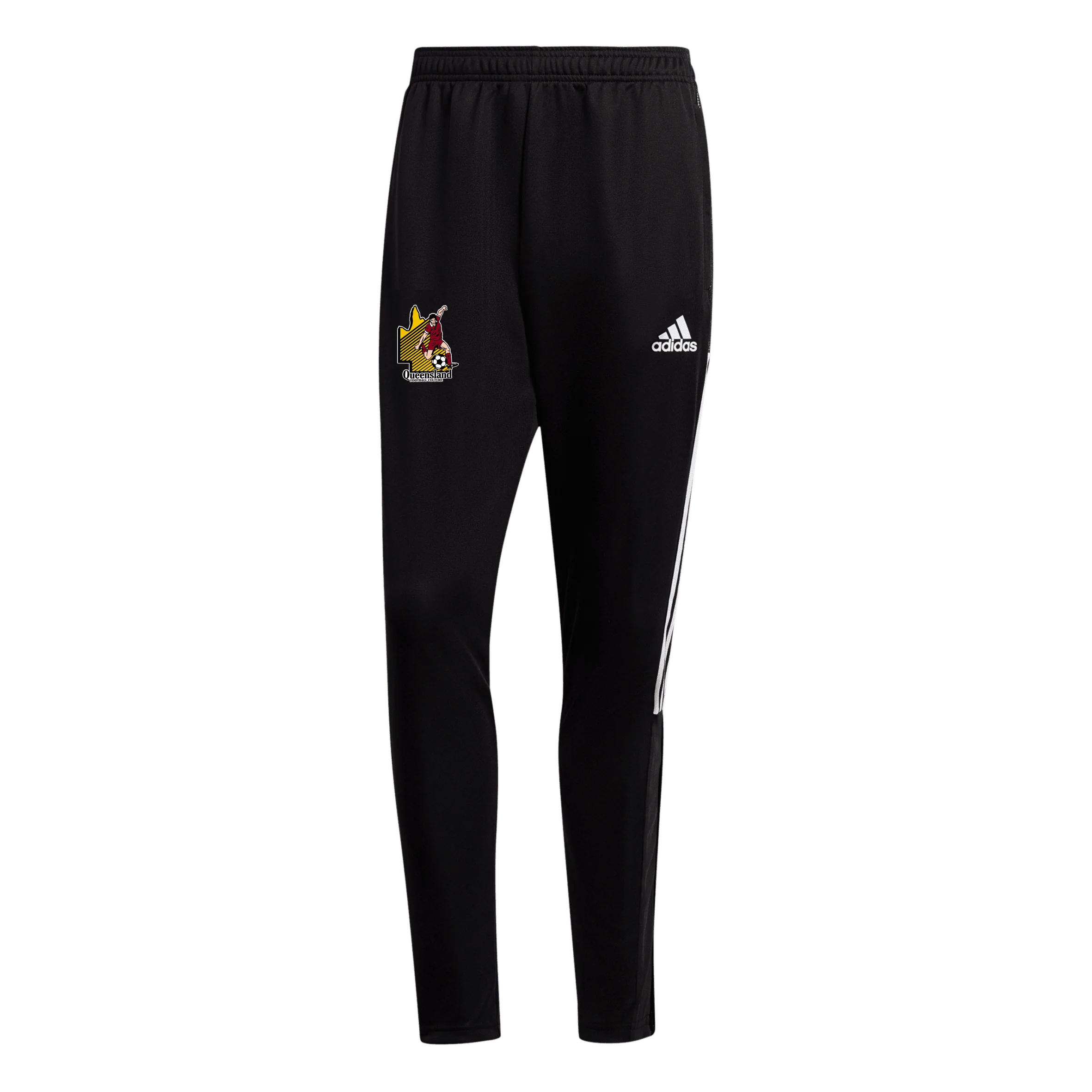 QUEENSLAND FOOTBALL CULTURE Tiro 21 Track Pant Youth (GM7374)