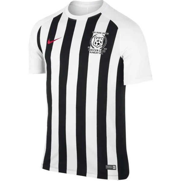 HAY PARK UNITED MENS Nike DRY STRIPED SEGMENT III JERSEY