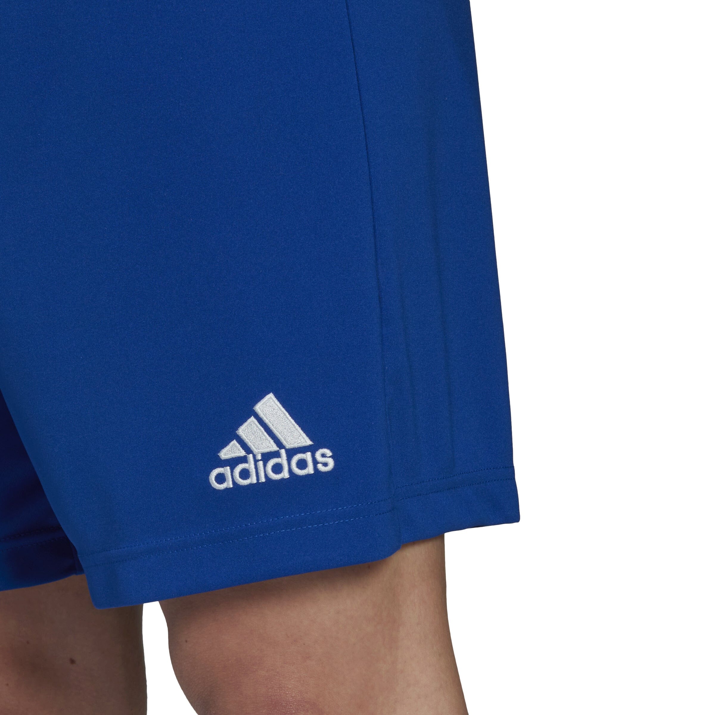 OAKLEIGH CANNONS FC Adidas Entrada 22 Shorts - NPL Training/3rd Kit (HG6294) - Image 6