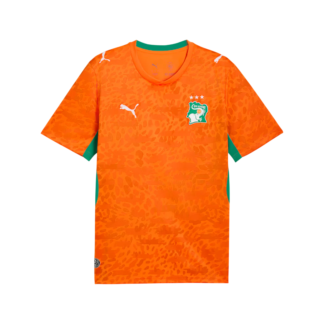 Ivory Coast 2026 Home Jersey (78318201)