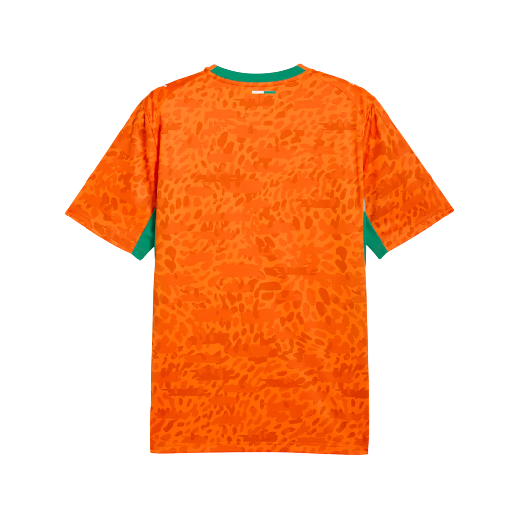 Ivory Coast 2026 Home Jersey (78318201) - Image 2