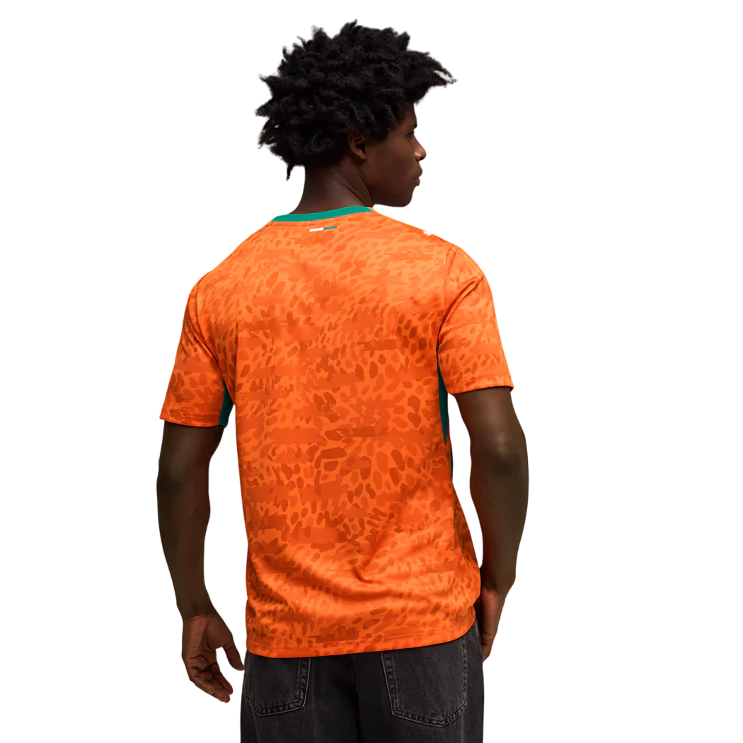 Ivory Coast 2026 Home Jersey (78318201) - Image 4