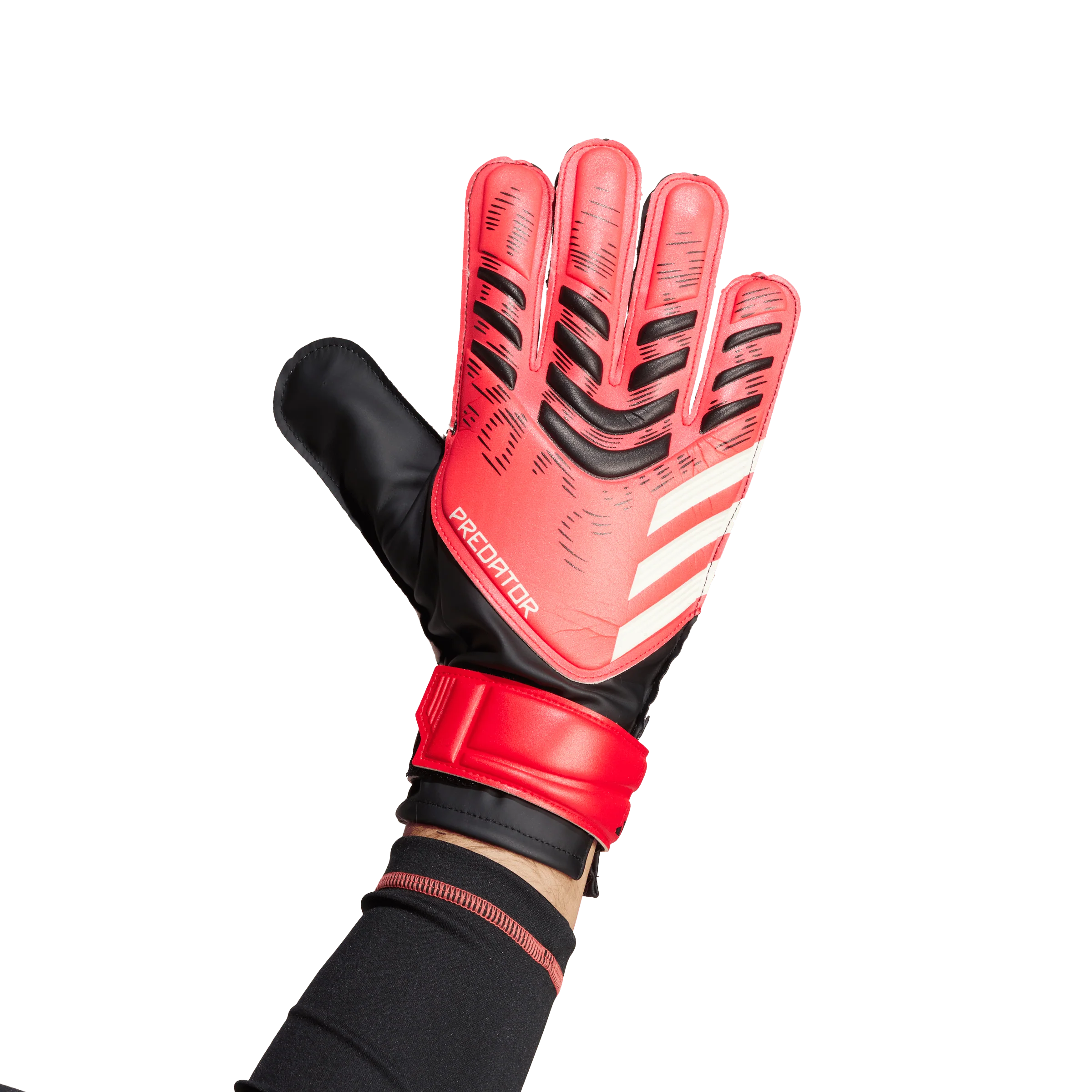 Predator Training Goalkeeper Gloves (JH3805) - Image 4