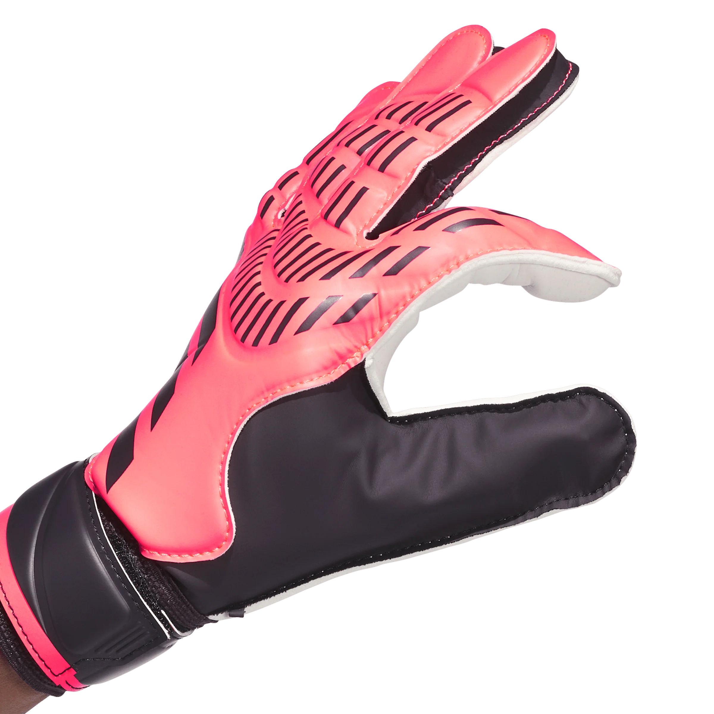 Predator Training Goalkeeper Gloves - Vivid Horizon Pack (IX3871) - Image 4