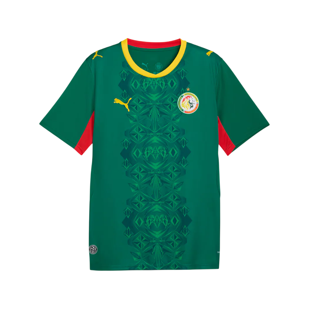 Senegal 2026 Away Jersey (78317102)