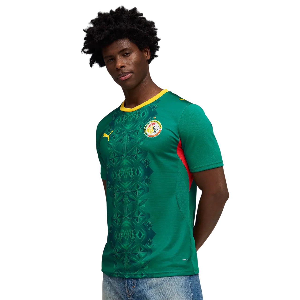 Senegal 2026 Away Jersey (78317102) - Image 5