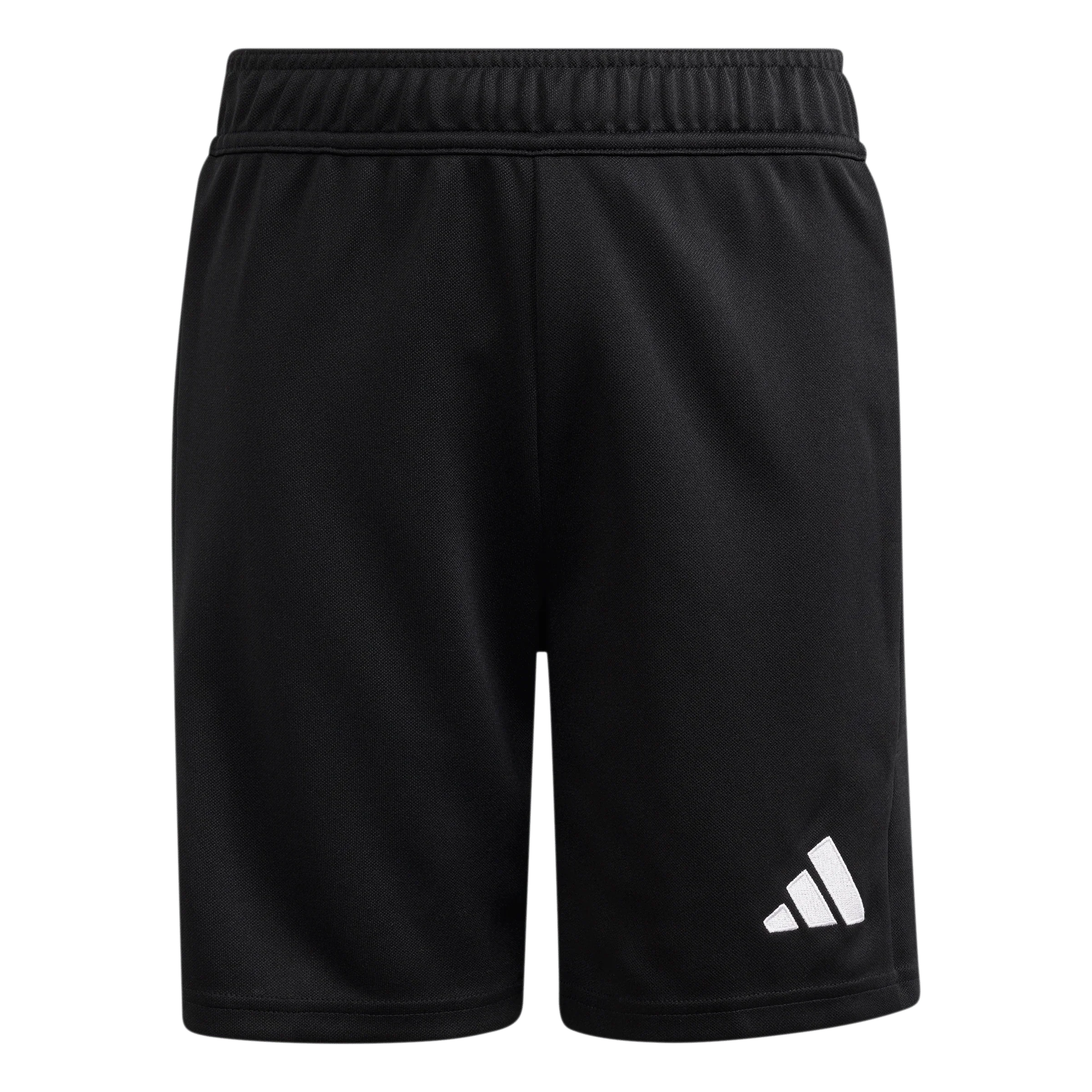 Tierro 26 Youth Goalkeeper Shorts (KF5962)
