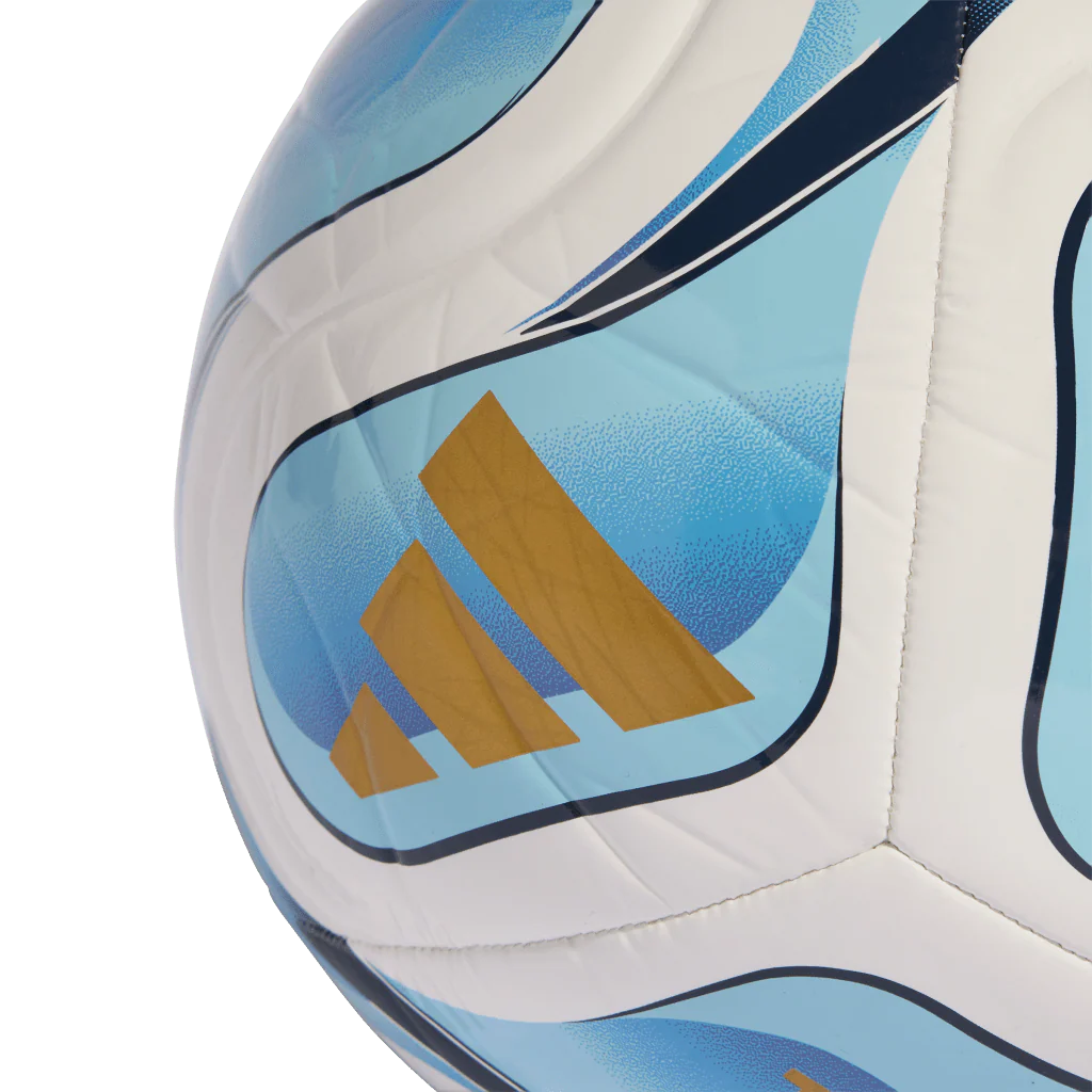 Trionda Argentina Home Club Ball (JY0304) - Image 4