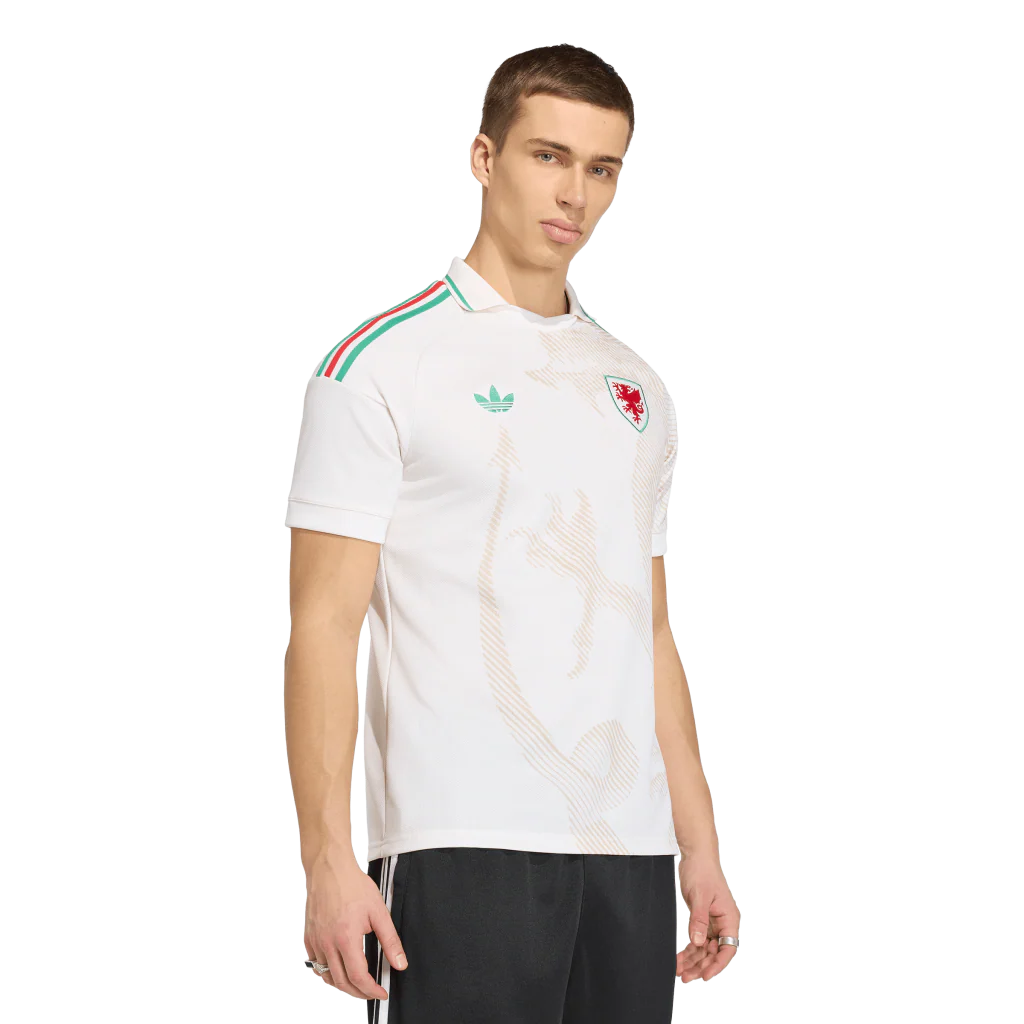 Wales 2026 Away Jersey (JL6928) - Image 3